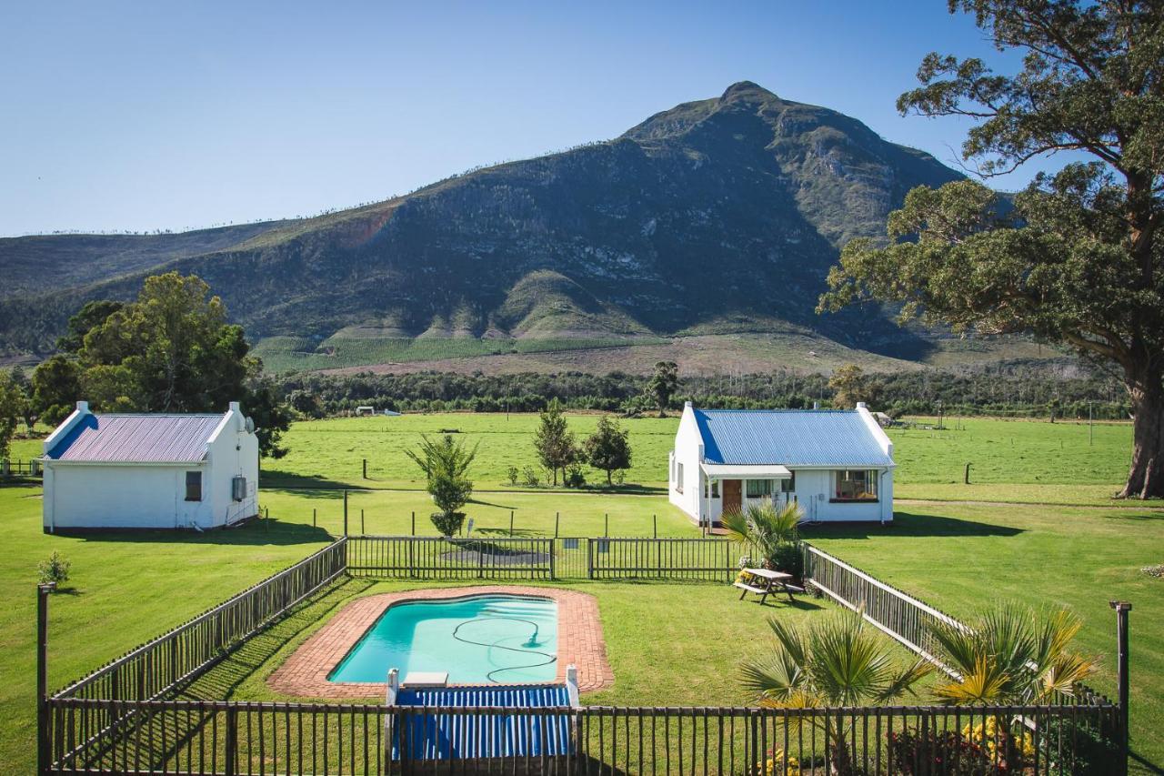 Tsitsikamma Cottages Witelsbos Extérieur photo