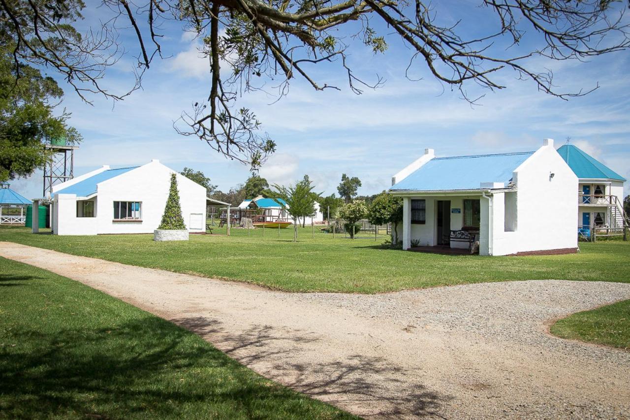 Tsitsikamma Cottages Witelsbos Extérieur photo