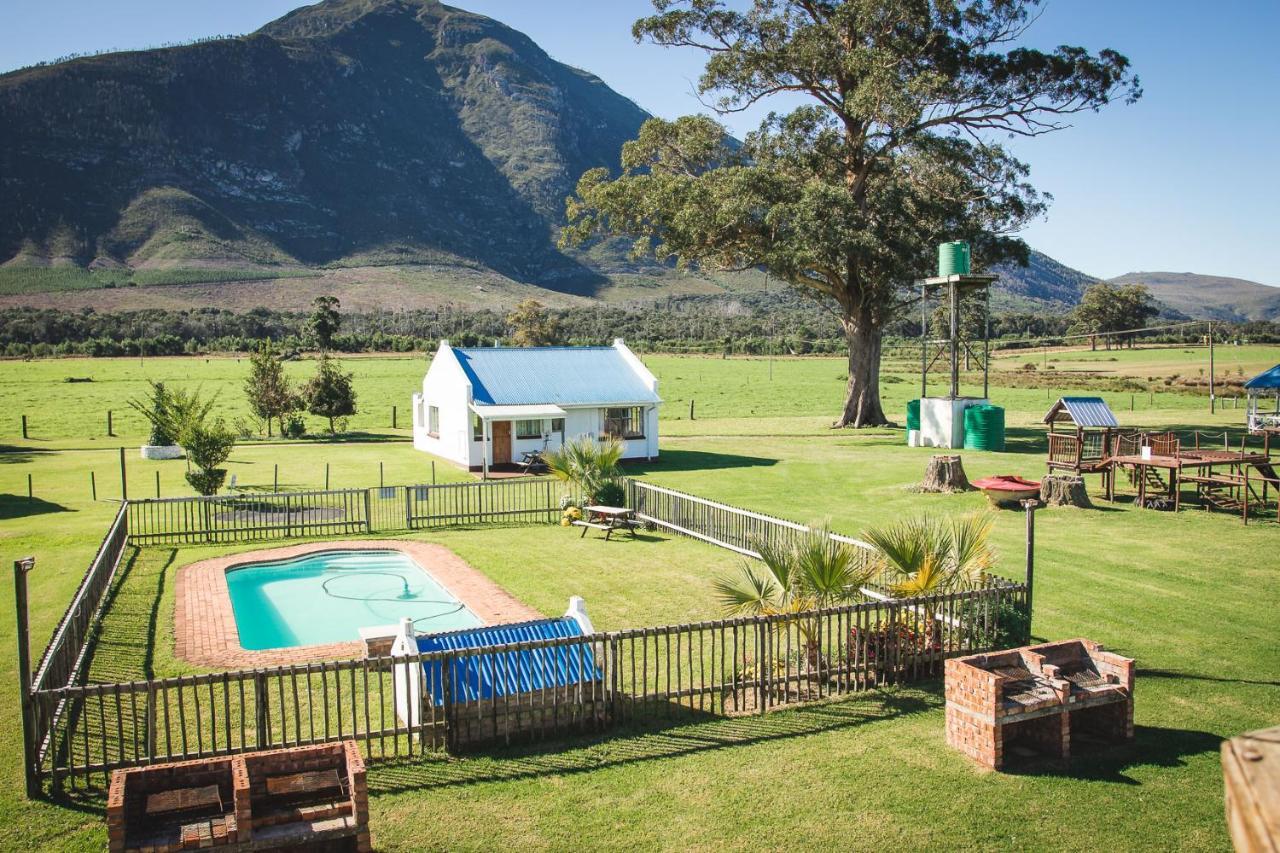 Tsitsikamma Cottages Witelsbos Extérieur photo