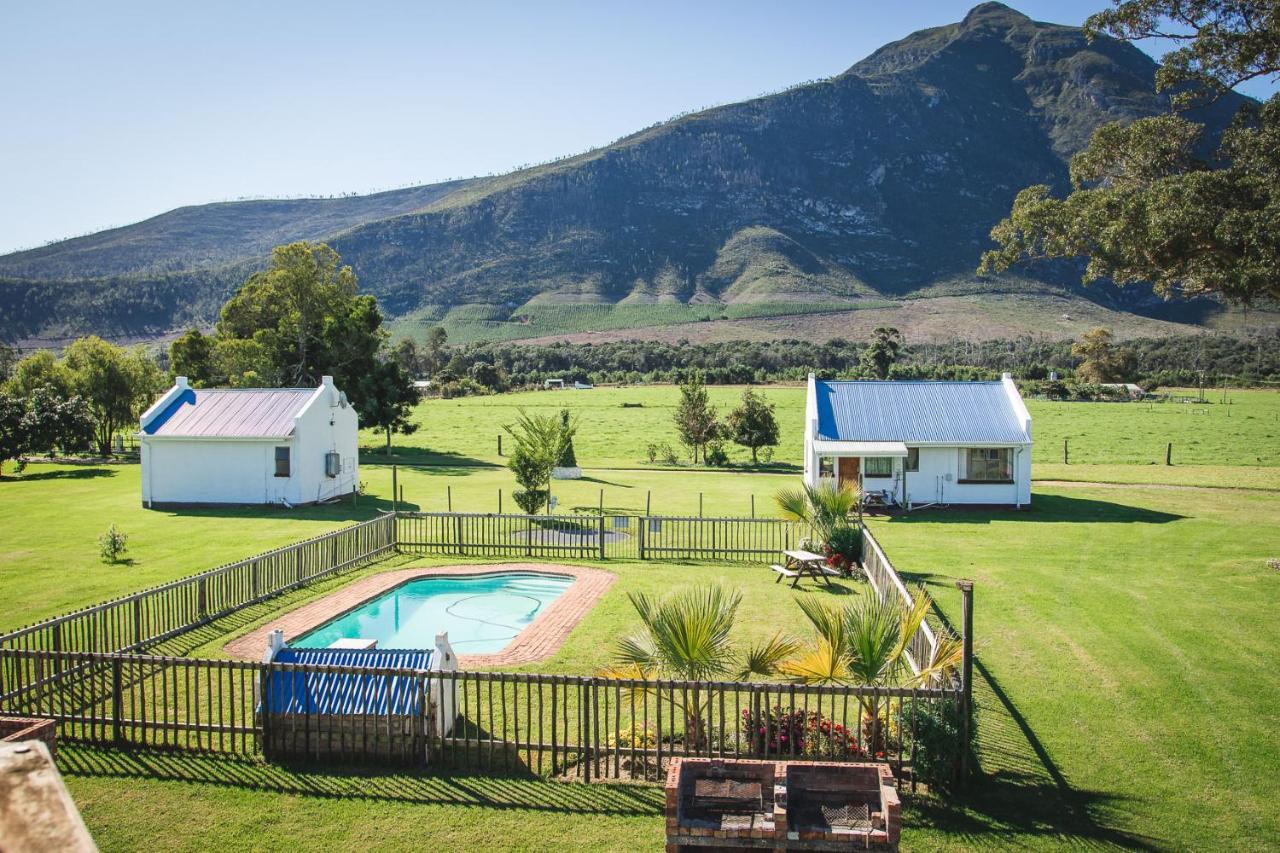 Tsitsikamma Cottages Witelsbos Extérieur photo