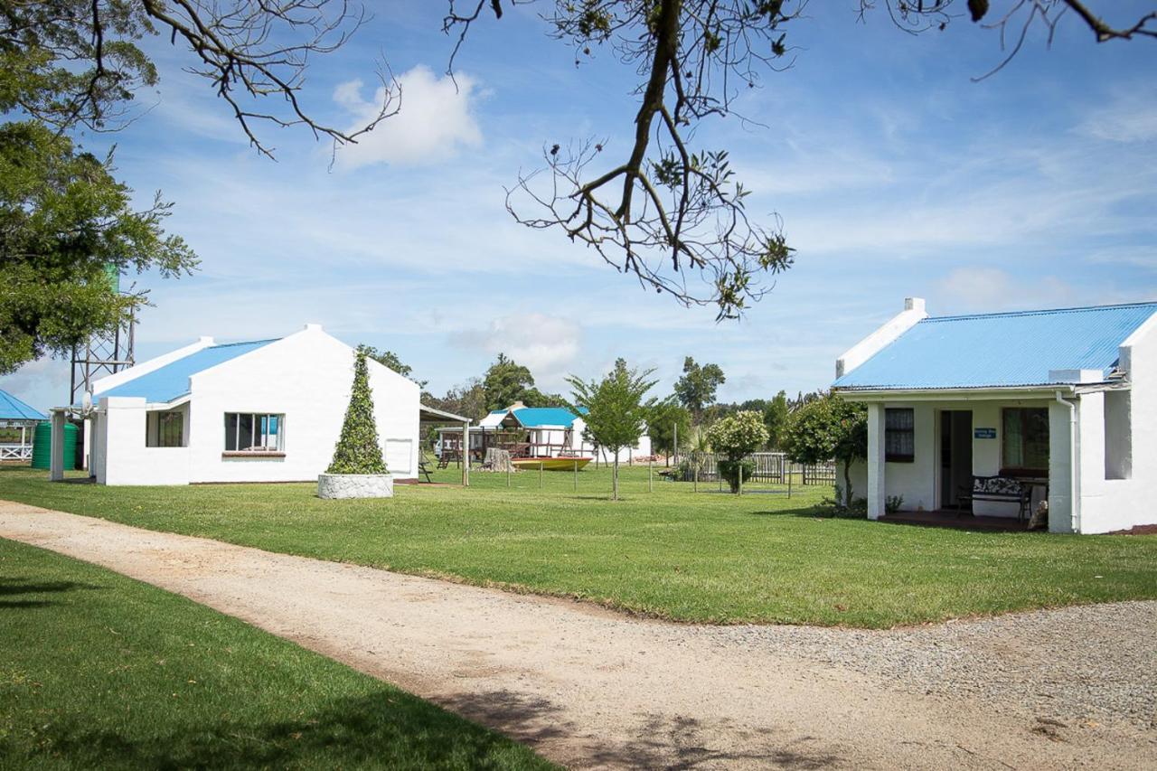 Tsitsikamma Cottages Witelsbos Extérieur photo